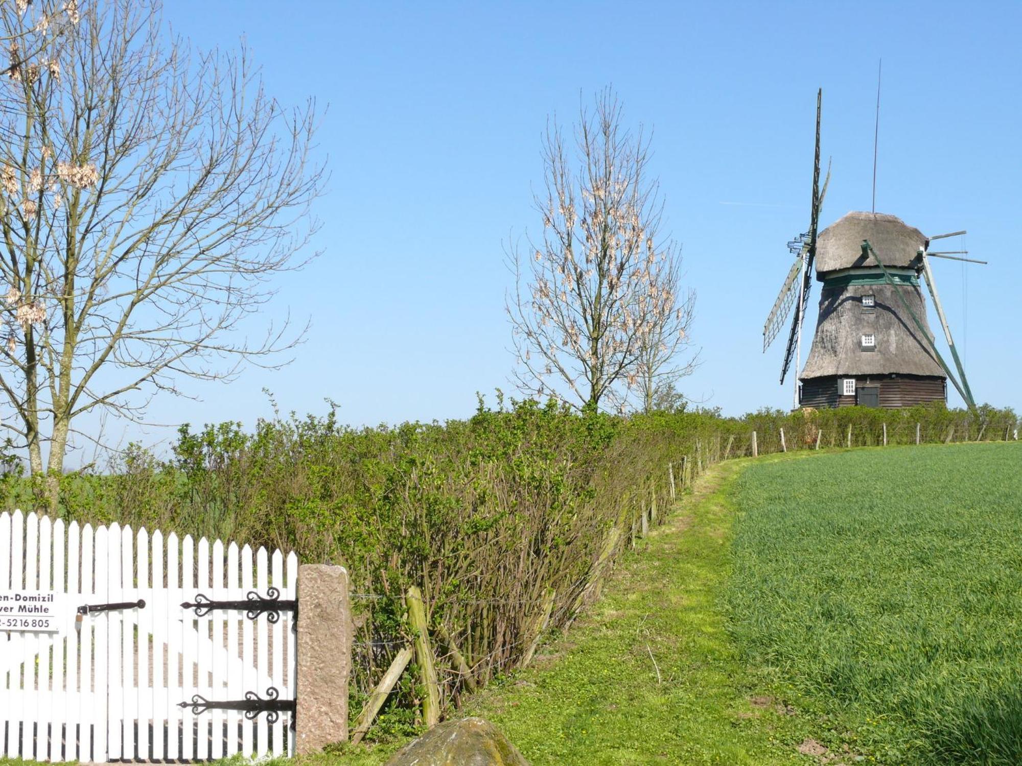 Beautiful Authentic Mill Close To The Beach Wangels Exteriör bild