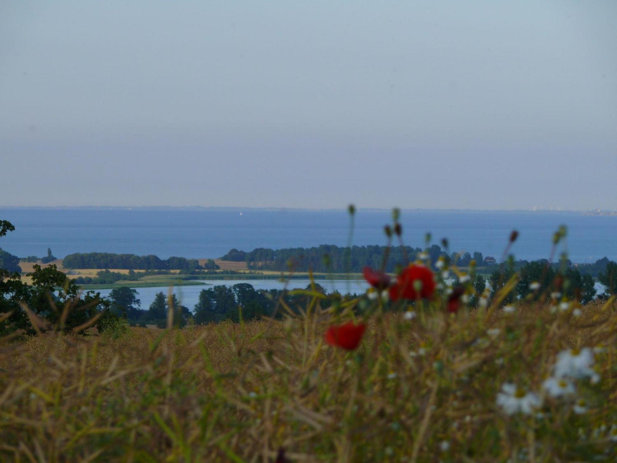 Beautiful Authentic Mill Close To The Beach Wangels Exteriör bild