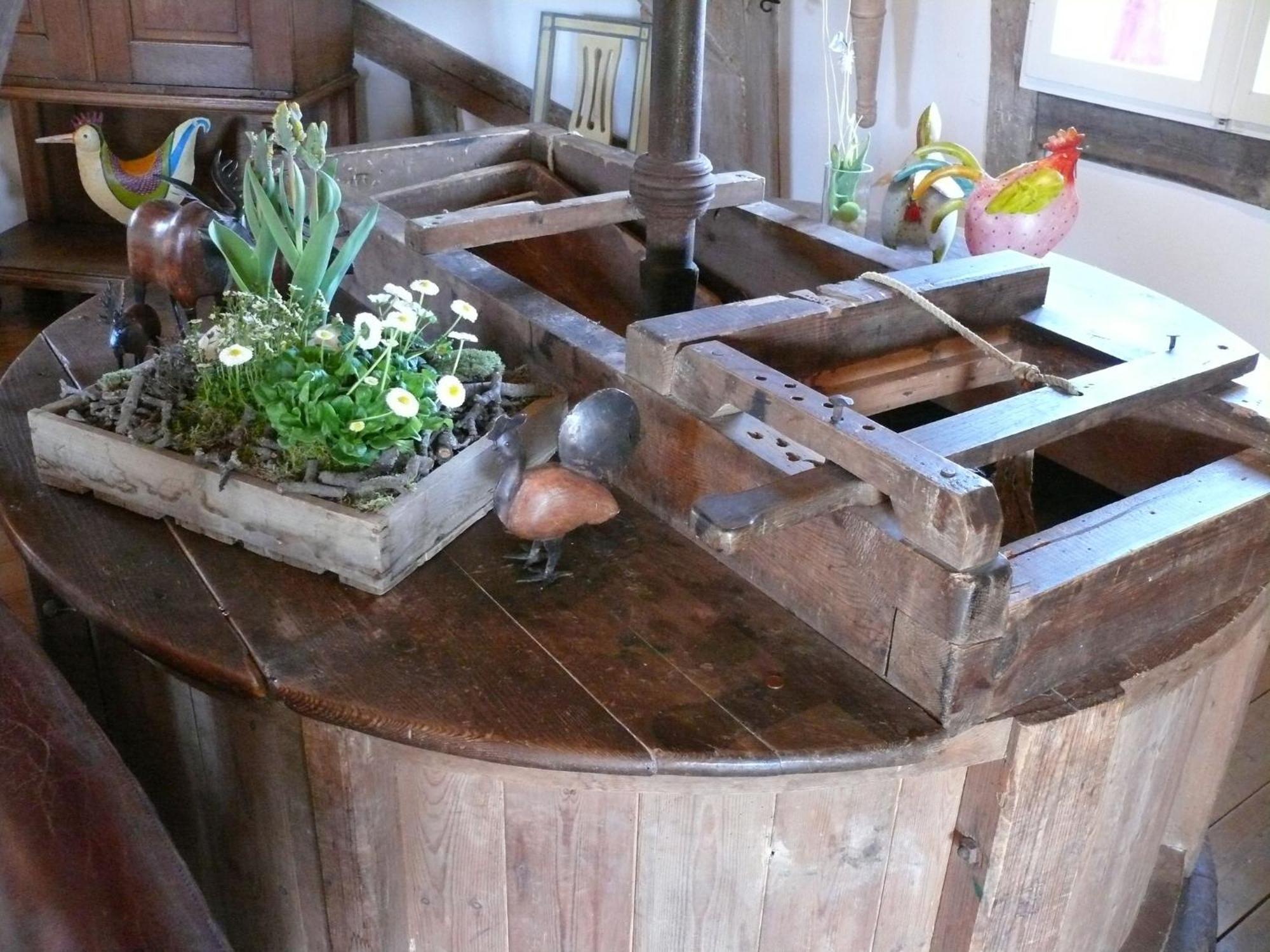 Beautiful Authentic Mill Close To The Beach Wangels Exteriör bild